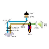 什么是荧光定量PCR、数字PCR？
